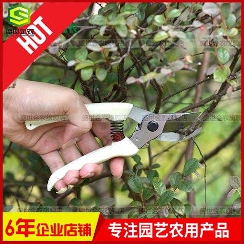 修枝剪园艺剪不锈钢花剪剪刀果树修枝剪园林剪刀桑剪修剪树枝剪子