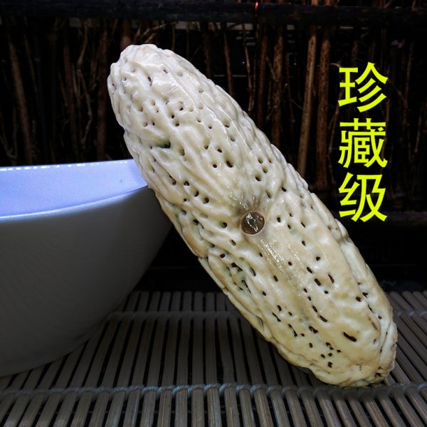 千眼菩提子大胖绿果白果风化果老果成品珍藏级文玩手把件刷果收藏