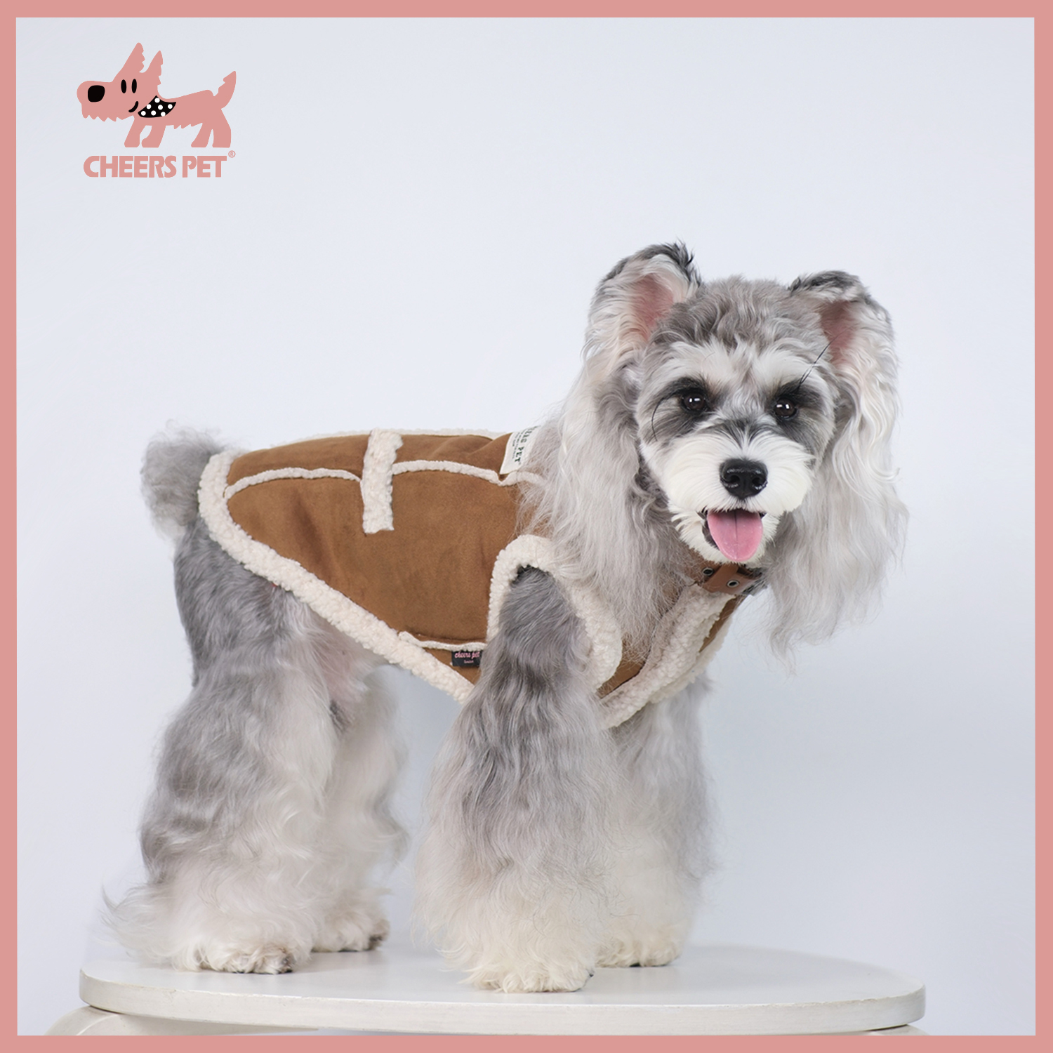 Cheers Pet小狗狗衣服秋冬款麂皮绒马甲泰迪比熊雪纳瑞冬季棉服