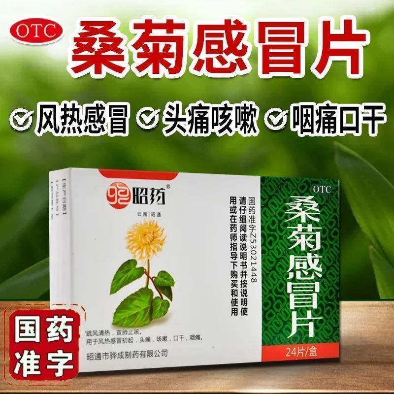 【昭药】桑菊感冒片24片/盒