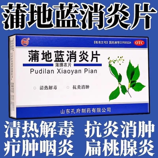 孔府 蒲地蓝消炎片48片/盒清热解毒抗炎消肿用于疖肿咽炎扁桃腺炎