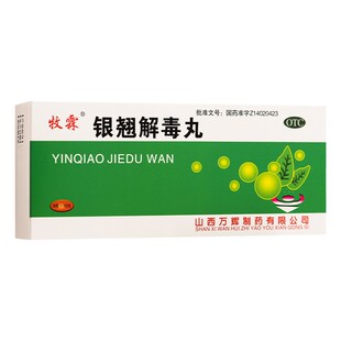 牧霖 银翘解毒丸10丸 咳嗽口干发热头痛风热感冒发热消炎止咳咽痛