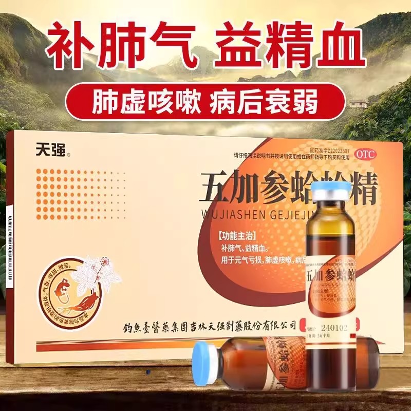 包邮正品天强五加参蛤蚧精口服液1补肺气益