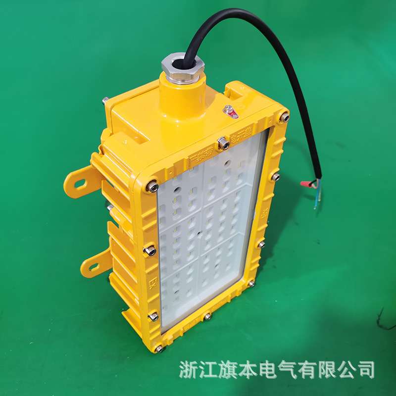 防爆吸顶灯70W100W免维护防水防尘灯 工厂节能泛光灯 IP66 WF2