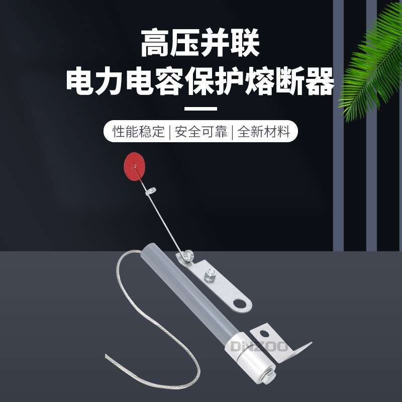 BR3W-10 BRW3-10KV 1A 2A 3A 5A 6A 8A 10A 12A高压限流熔断器