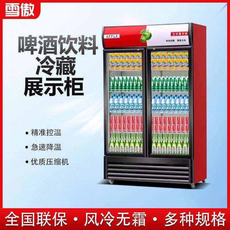 冷藏展示柜单门饮料柜商用双开门保鲜柜立式三门啤酒冰柜冰箱工厂