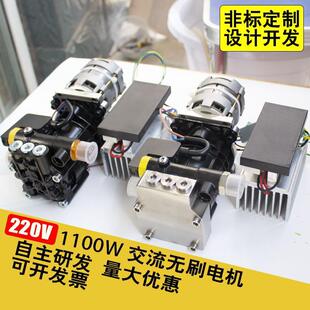 微型大功率交流无刷电机高速小型不锈钢泵头高压清洗机增压泵柱塞
