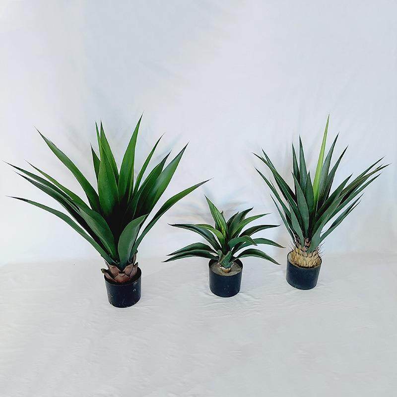 仿真龙舌兰盆栽室内景观绿植装饰剑麻龙舌兰假植物一帆风顺,3C数码配件,USB灯,淘宝优惠券,粉丝福利购,淘宝优惠卷