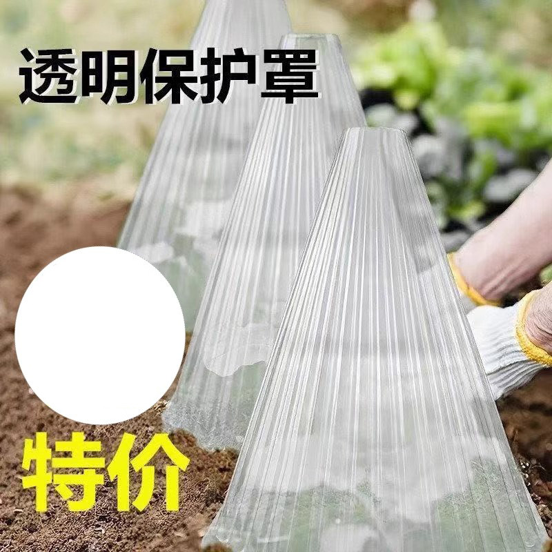 育苗保护罩透明钟罩可重复使用温室大棚免受鸟类霜冻伤害加厚批发