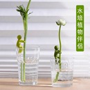 水培植物支撑扶正龟背竹扶枝固定造型防倒伏园艺绿植叶办公桌装 饰