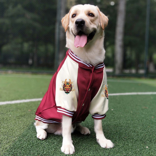 汪小萌大狗衣服银狐绒保暖不粘毛