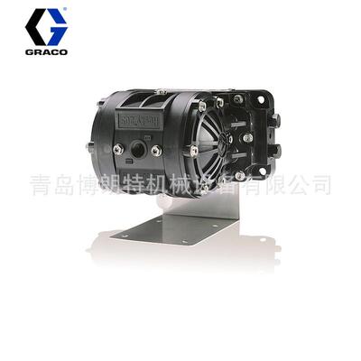 D12091,D12096,D11021,D150A6,D150A1 Husky205气动隔膜泵