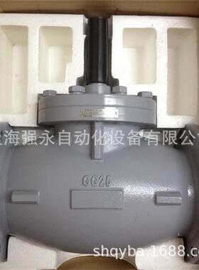 美国  V5050B1080 三通法兰线性阀门电动调节阀门DN150