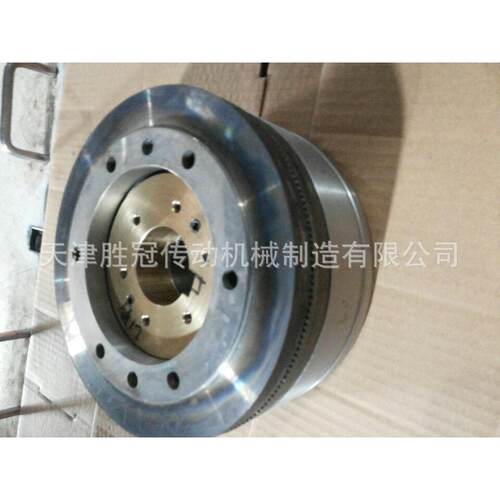 天津胜冠DLYH50A牙嵌式电磁离合器DC24V