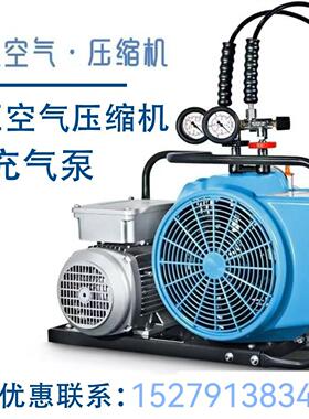 压缩机高压30/40Mpa水肺充瓶充气泵填充泵消防潜水