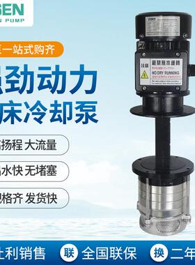 DBVD机床冷却泵液下泵循环水泵立式多级水泵三相电泵