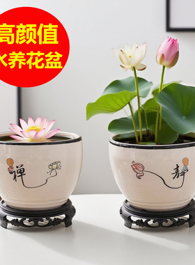 无孔水仙铜钱草水培花盆陶瓷清仓捡漏室内桌面碗莲荷花大号水养盆