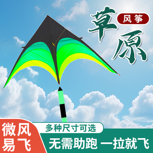 专业风筝草原三角风筝儿童新手微风易飞成人户外大型初学潍坊风筝