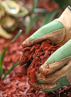 极速彩色木屑红树皮有机覆盖物花园D艺景观庭院装饰铺黄土地面树