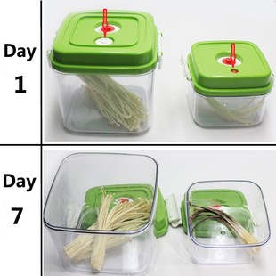 Vacuum Sealers CContainer Large Foo 极速Vacuum Capacity Food