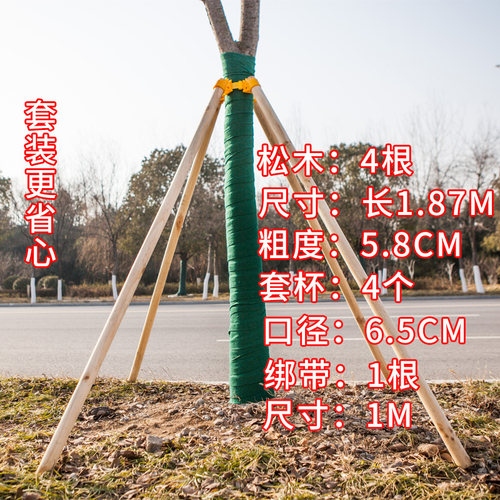新品树木支撑固定器支撑架杆杉木松木杨木棍园林绿化W防风工程稳