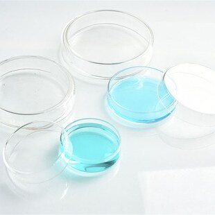 新品玻璃培养皿60mm90mm100mm120mmF150mm200mm耐高温高压  一盒