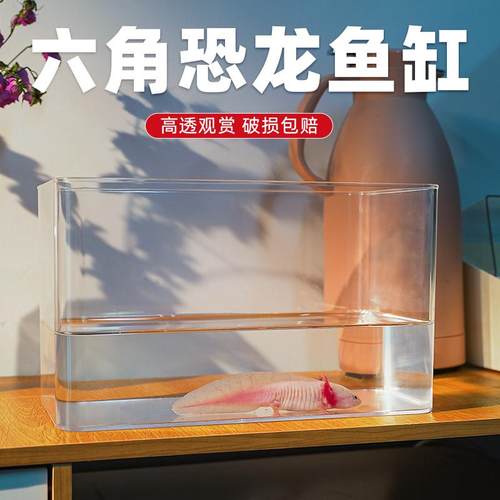 六角恐龙鱼亚克力小鱼缸一体成型专用缸蝾螈宠物辣椒蟹小型饲养缸