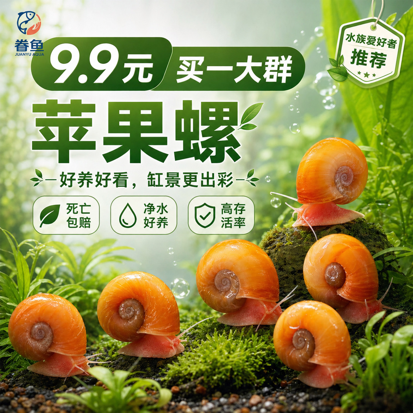 苹果螺除藻螺迷你观赏螺蜗牛工具螺水草缸除苔清理残食清洁螺包邮图片