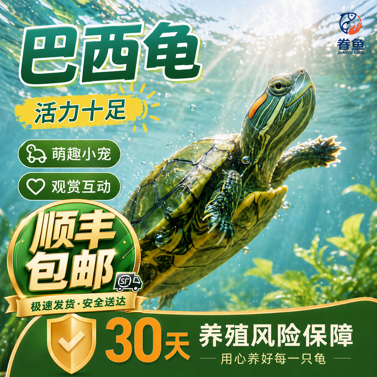 乌龟活物大巴西龟小长寿观赏宠物龟黄金巴西龟绿色情侣红耳龟