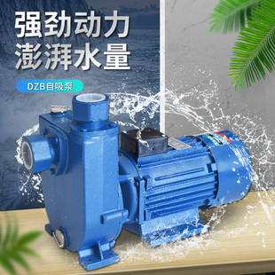 工业级单相WZB/DZB大功率1.5KWKW自吸泵加强泵供水泵增压泵循环泵