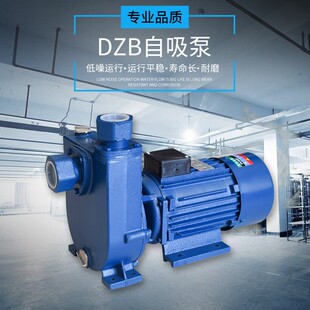 工业级 单/三相 WZB/DZB大功率自吸加强泵 供水增压泵 循环泵