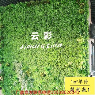 新品新品仿滕植物墙室外仿真墙面装饰创意绿植爬藤固定Y绿化室内