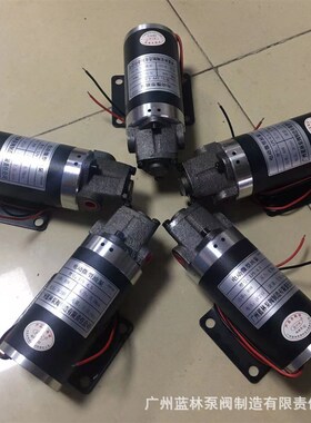 极速直流微型齿轮泵 自吸高压齿z轮油泵 微型齿轮泵 广州蓝林泵业