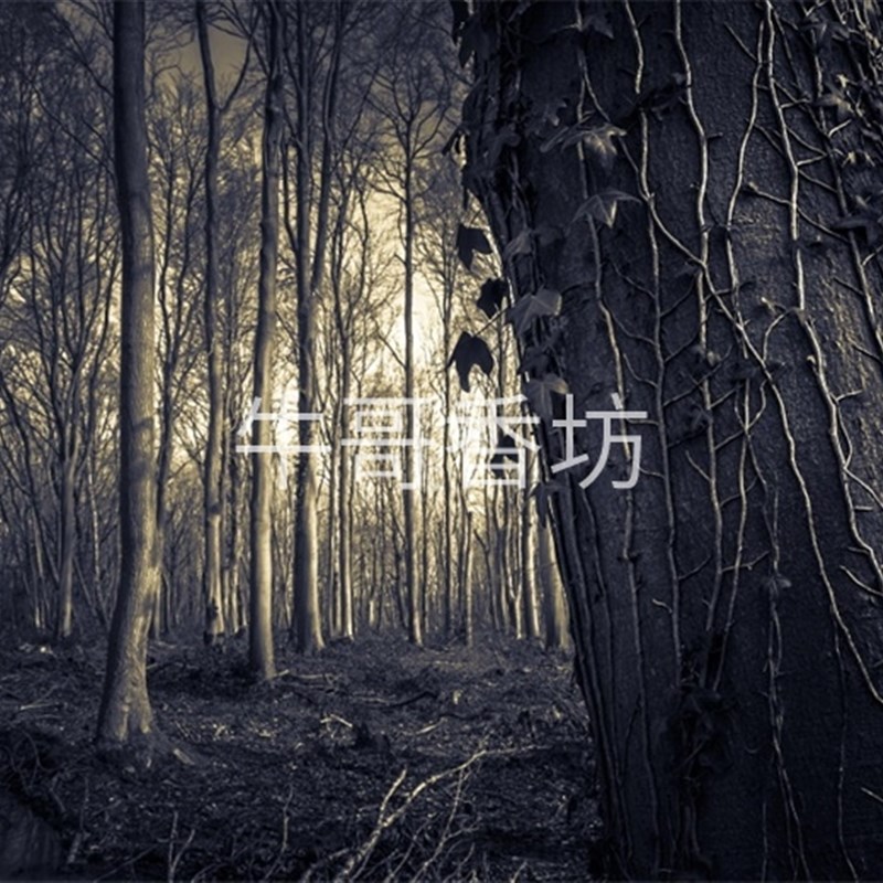 极速新款画片照片明信片w打印各种尺寸全国发货3a413