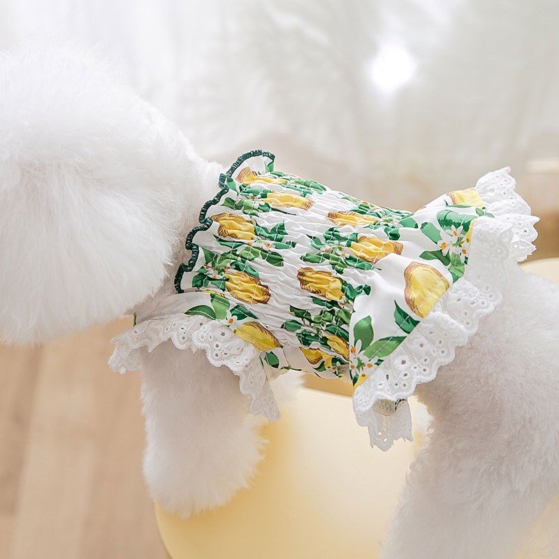 新品小飞袖吊带公主连衣裙狗狗衣服吊带比熊泰迪博U美宠物春天夏