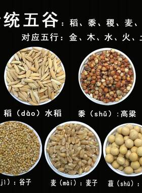 极速净宅五谷杂粮搬家用搬家仪y式用品带壳带皮新房新居乔迁五谷