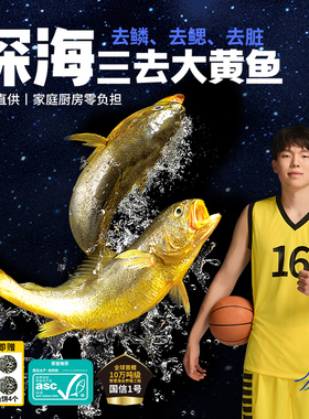 裕鲜舫国信1号深远海大黄鱼三去新鲜冷冻东海黄花鱼海鲜水产品