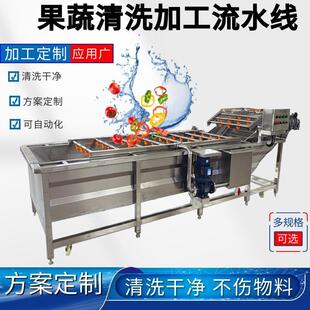 大型山楂果蔬清洗机 柑橘净菜加工流水线 苹果清洗设备