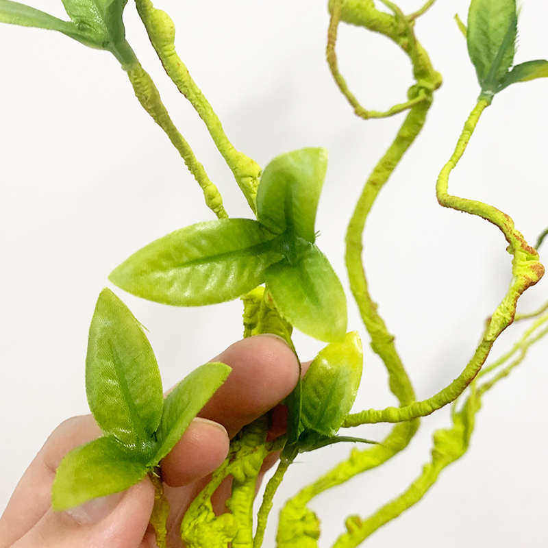 爬宠饲养箱造景藤条树蛙睫角守宫蜥蜴寄居蟹攀爬蛇仿真绿色藤蔓,宠物/宠物食品及用品,爬宠躲避/造景,淘宝优惠券,粉丝福利购,淘宝优惠卷