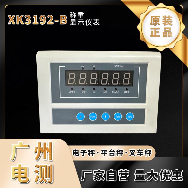 称重仪表控制器/XK192-B仪表/测力仪表/KG/N显示/拉压力测试仪