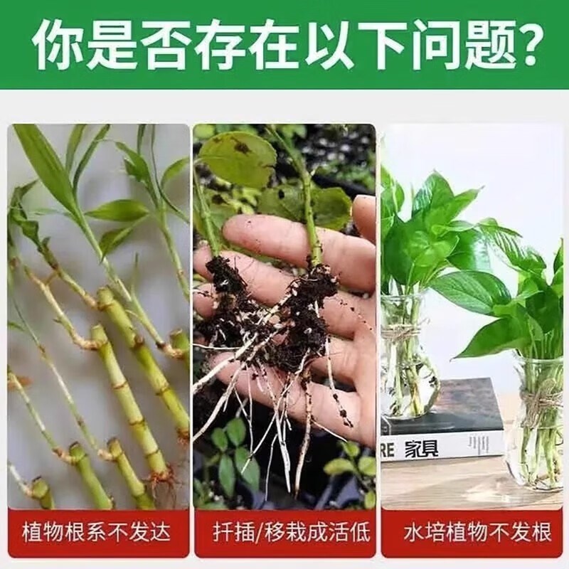植物扦插生根剂玫瑰月季壮苗剂生根粉树木移栽种植生根液扦插专用