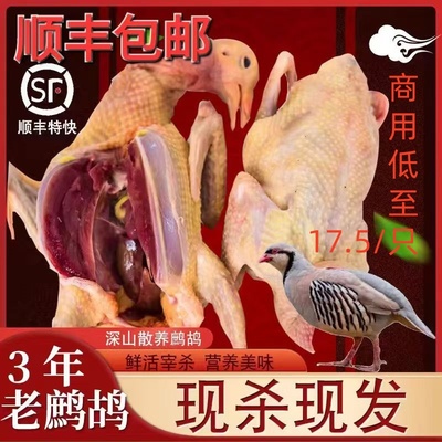 土鲜福现杀新鲜老鹧鸪鸟鸡非活体嘎嘎鸡飞龙肉散养鹧鸪肉生鲜鸟肉
