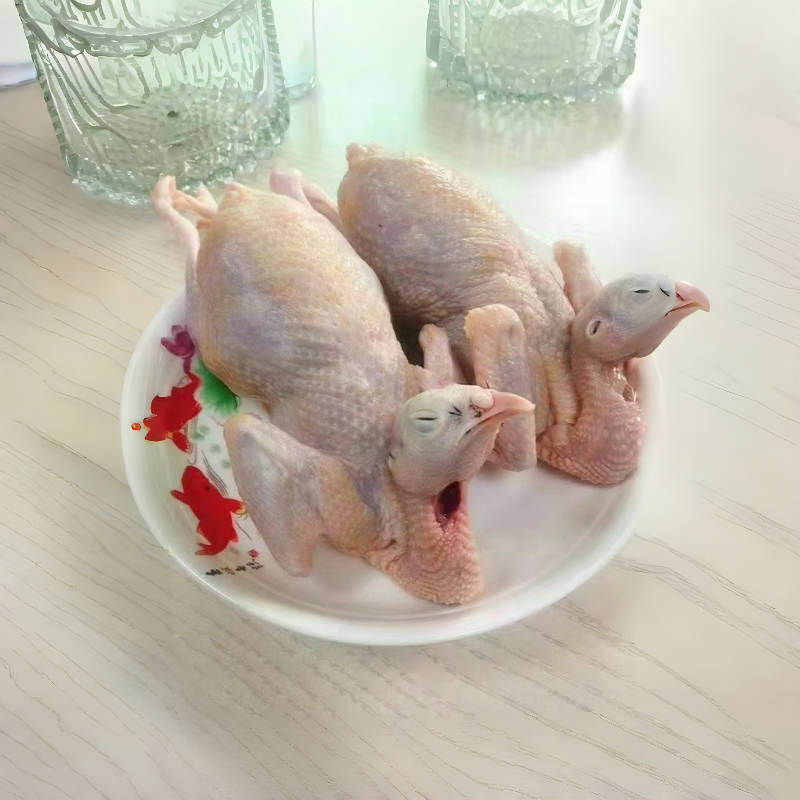 土鲜福现杀新鲜老鹧鸪鸟鸡非活体嘎嘎鸡飞龙肉散养鹧鸪肉生鲜鸟肉