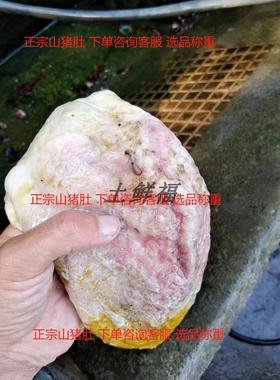 土鲜福正宗新鲜虫疔肚野猪肚山猪肚跑山猪肚山猪胃养胃包邮500克