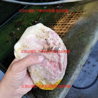 土鲜福野猪肚山猪肚山猪胃保真