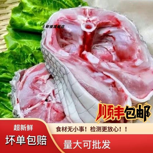 土鲜福鳄鱼肉暹罗鳄肉生鲜实惠