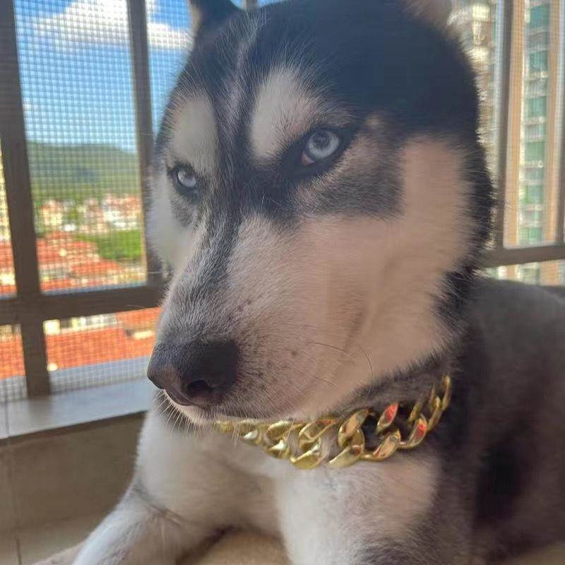 宠物金项链狗狗大金链子猫咪项链项圈恶霸犬泰迪法斗饰品网红