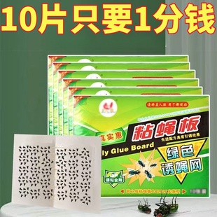 苍蝇贴强力粘苍蝇纸粘蝇板药沾蚊杀手捕捉器灭蝇子神器一扫光家用