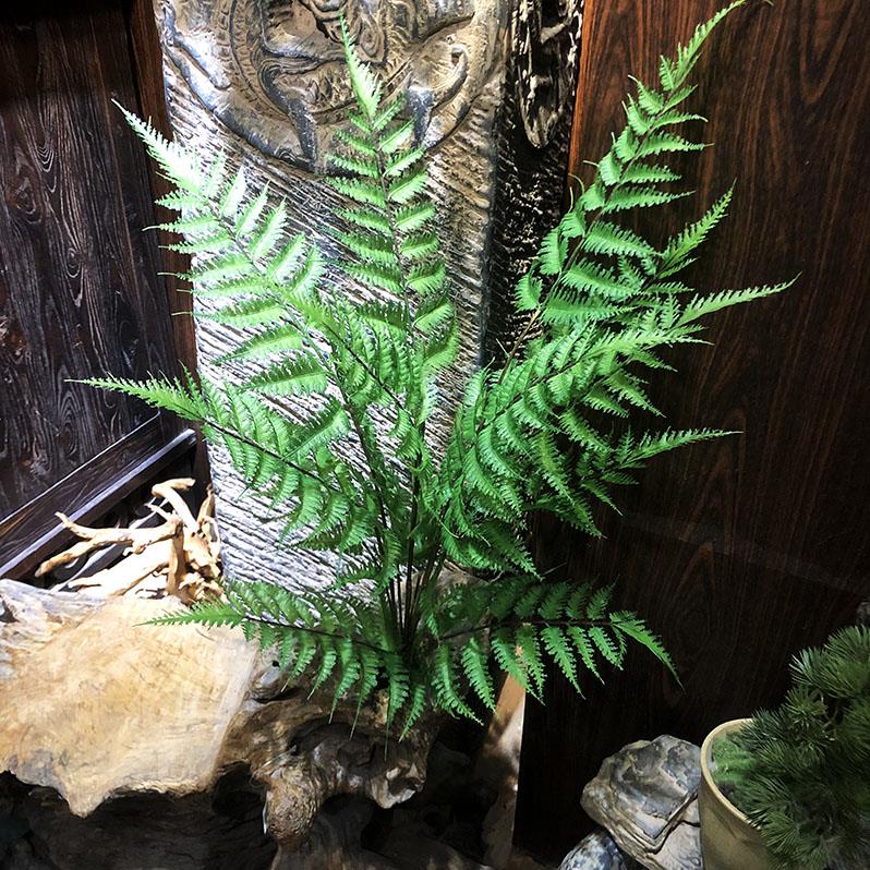 仿真波斯草软胶羽节蕨锯叶蕨草黑骨芒植物假花软装插花配材装饰