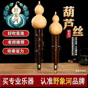 葫芦丝小学生乐器专用C调降b调成人初学七孔入门专业演奏型旗舰店